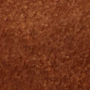Julius - Image 9
