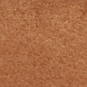 Jump - Image 7