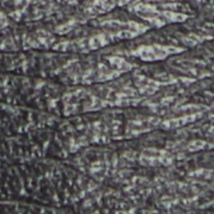 Kaely - Image 7