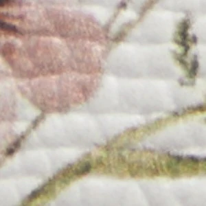 Krishelle - Image 7