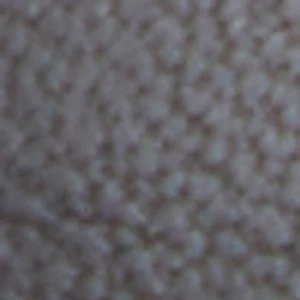 Lagoon - Image 8