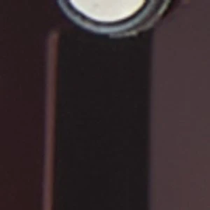 Lalaendrax - Image 4