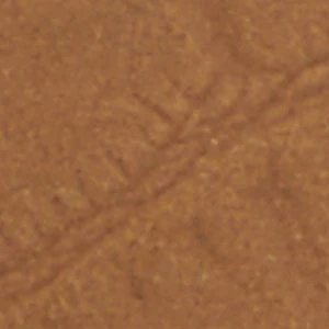 Lededanten - Image 8