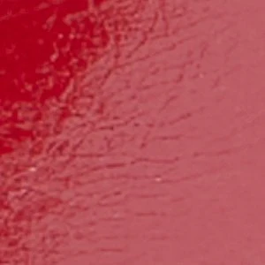Leesia - Image 7
