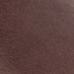 Longhorn - Image 8