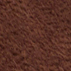 Marisea - Image 7