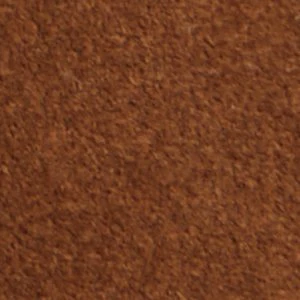 Melvillee - Image 9