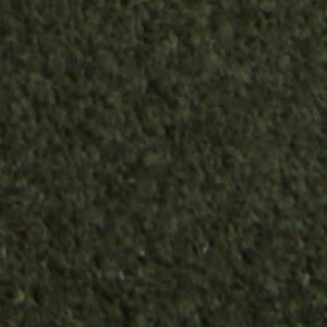 Melvillee - Image 9