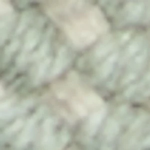 Nalani - Image 8