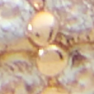 Natalee - Image 3