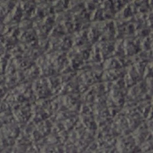 Nuno - Image 8
