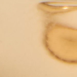 Occeane - Image 2