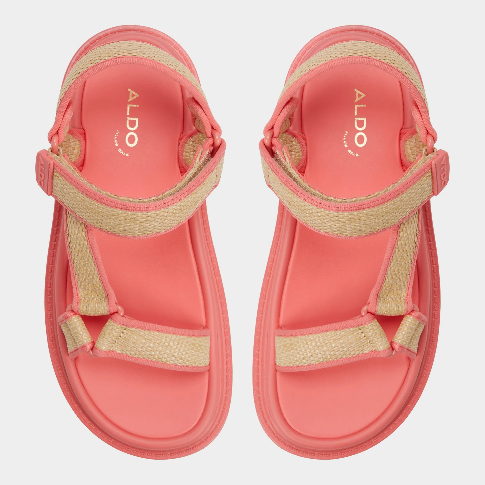 Oceana - Image 6