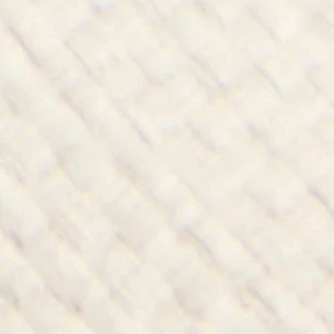 Palmtree - Image 7