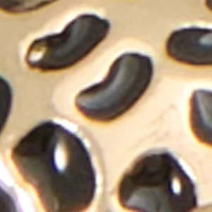 Panthere - Image 3