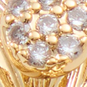 Papiluxe - Image 3