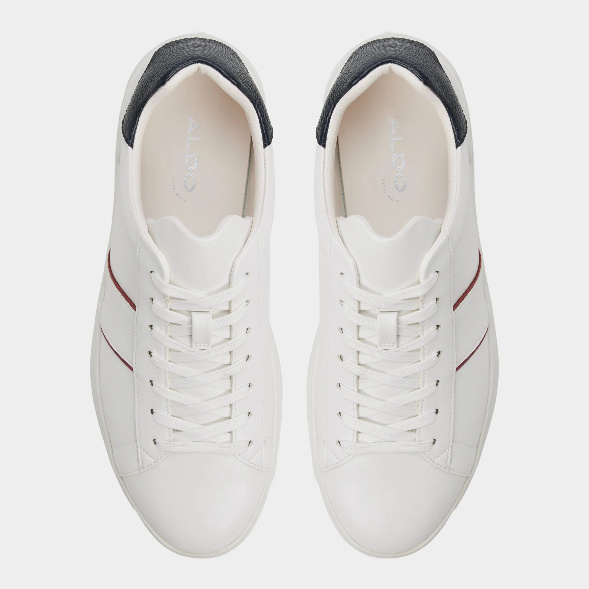 Paxon - Image 6