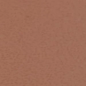 Penelopy - Image 7