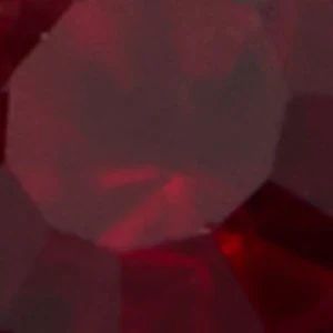 Petaline - Image 3