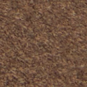 Piero - Image 10