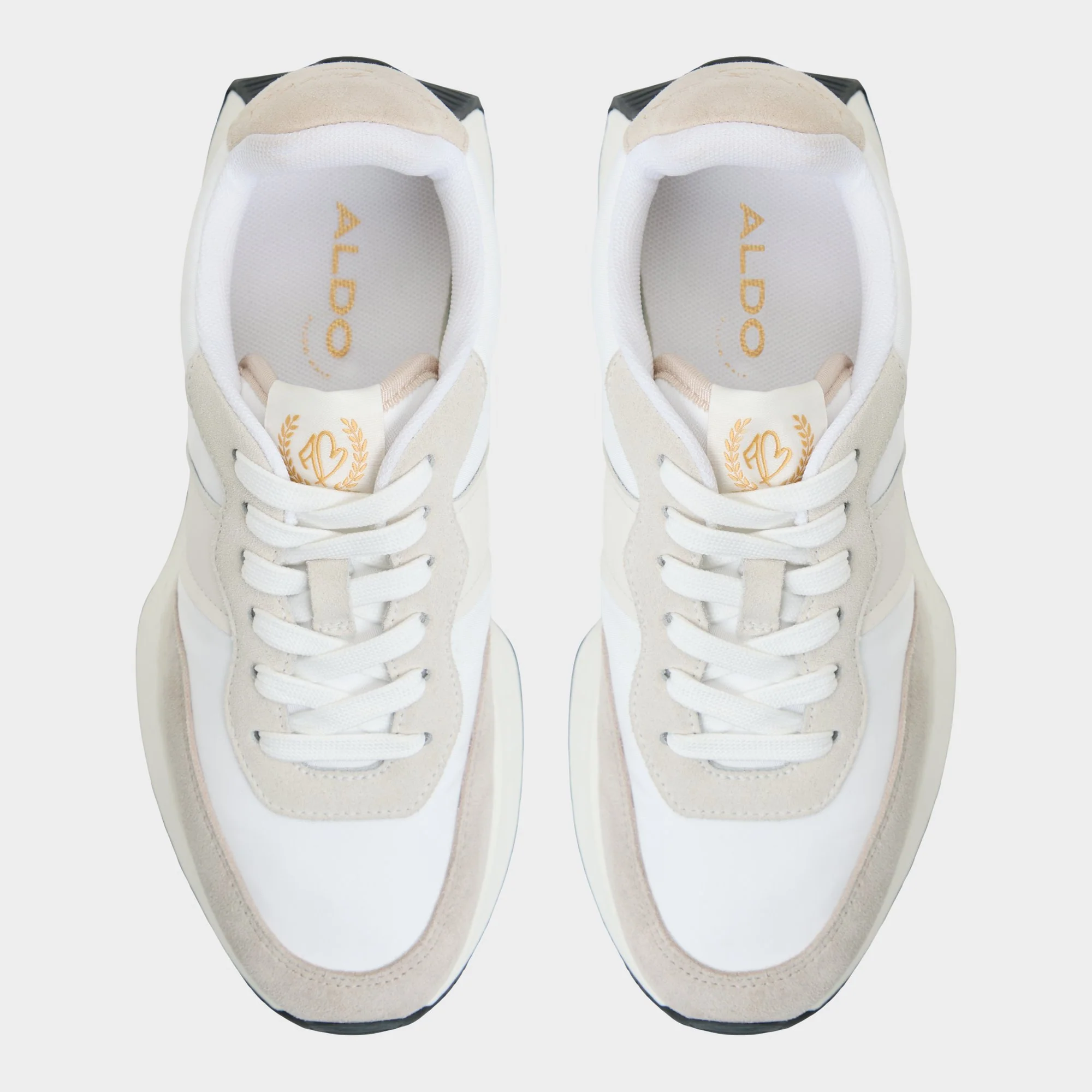Proader - Image 6