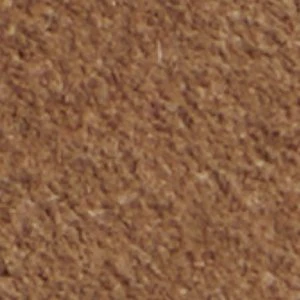 Raiden - Image 9