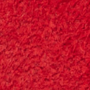 Roscoe - Image 9
