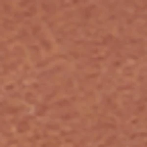 Salinero - Image 9