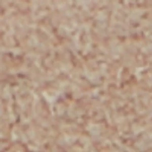 Seatide - Image 10