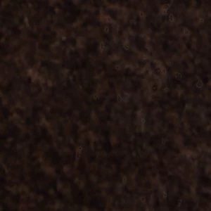 Selora - Image 9