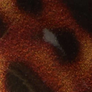 Seralina - Image 8