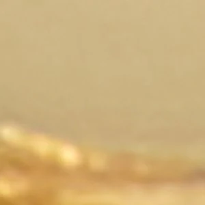 Shannonn - Image 2