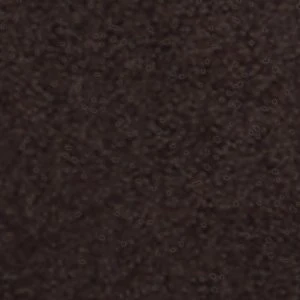 Shaynn - Image 9