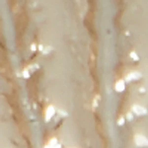 Sirenne - Image 3
