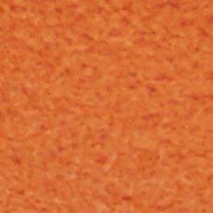Skipp - Image 7