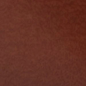 Stanly - Image 9