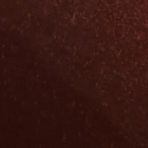 Stessywedge - Image 7
