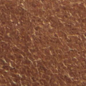 Tayloria - Image 8
