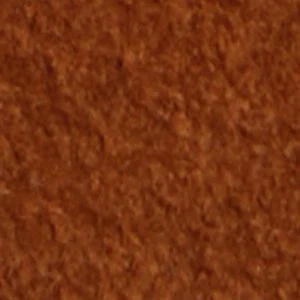 Tayloria - Image 8