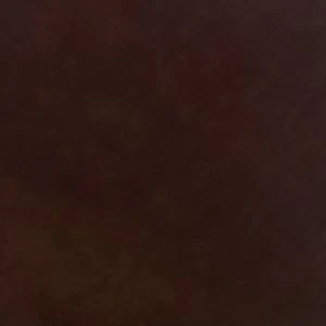 Teyrra - Image 3