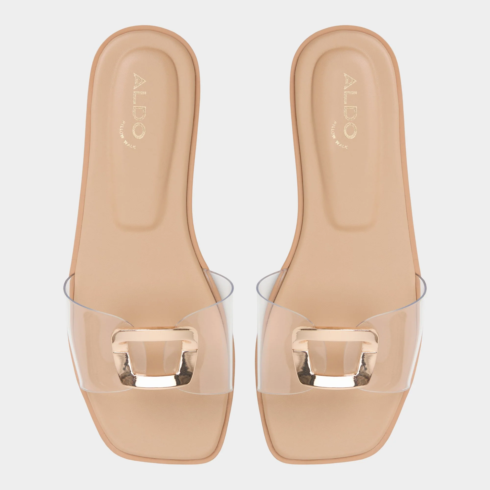 Tidella - Image 6