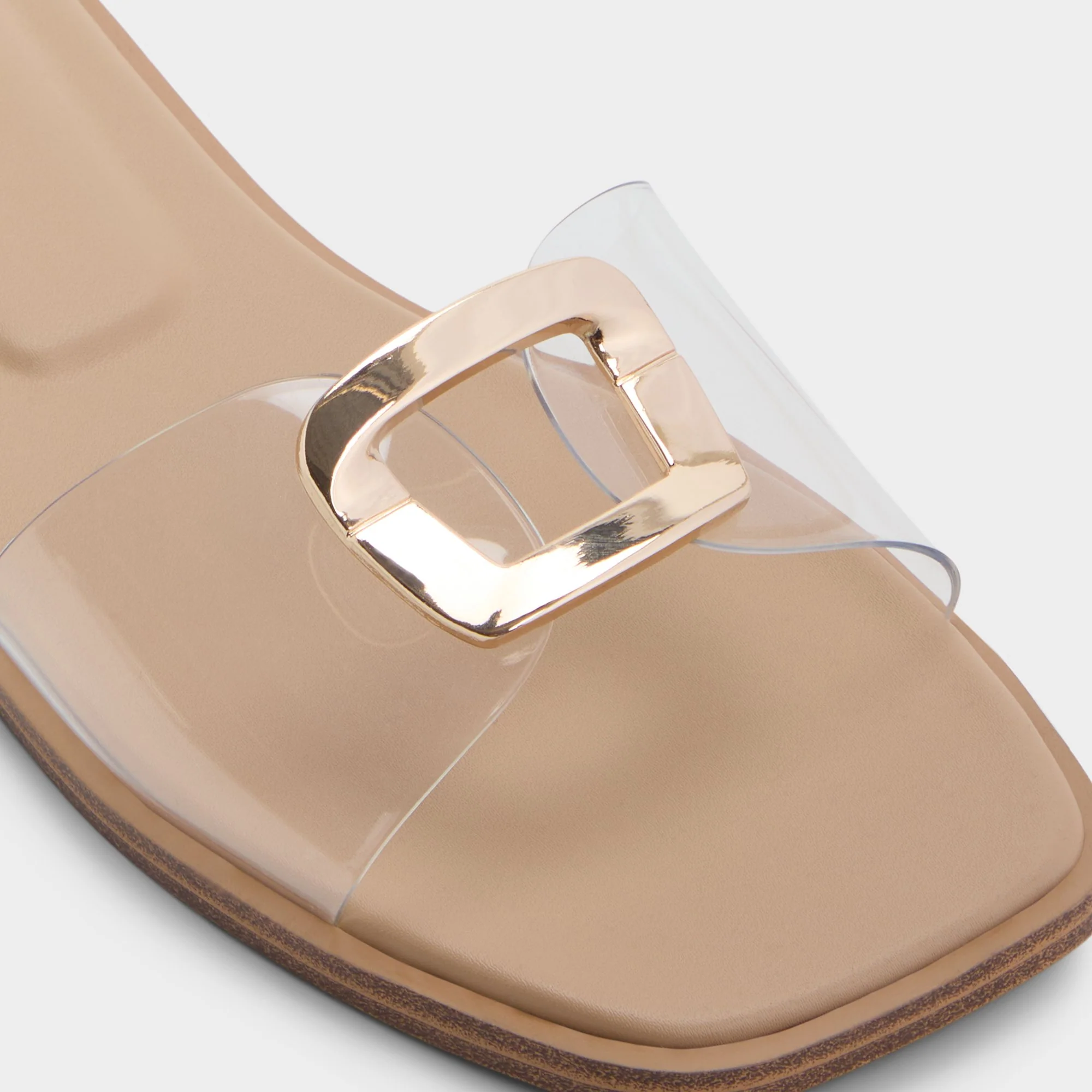 Tidella - Image 7