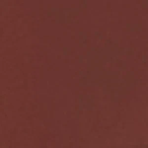 Timothee - Image 3