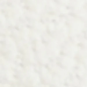 Tisha - Image 8