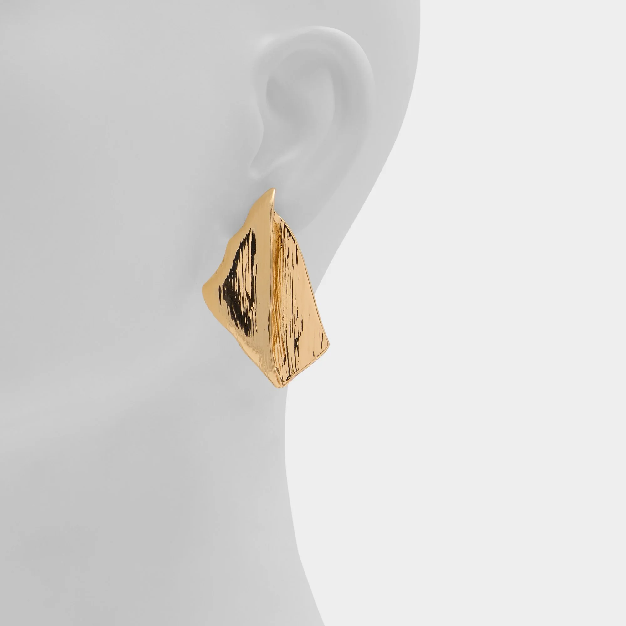 Trigona - Image 2