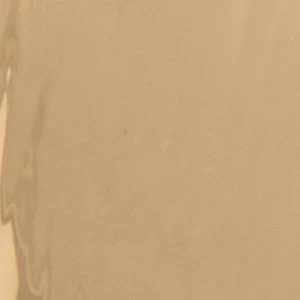 Trigona - Image 3