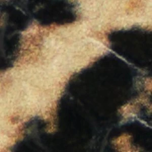 Vivienna - Image 9