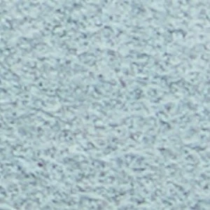 Whirl - Image 8