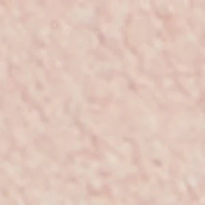 Wildbreeze - Image 8