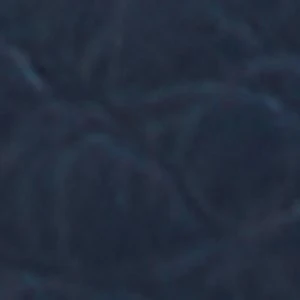 Wildwave - Image 10